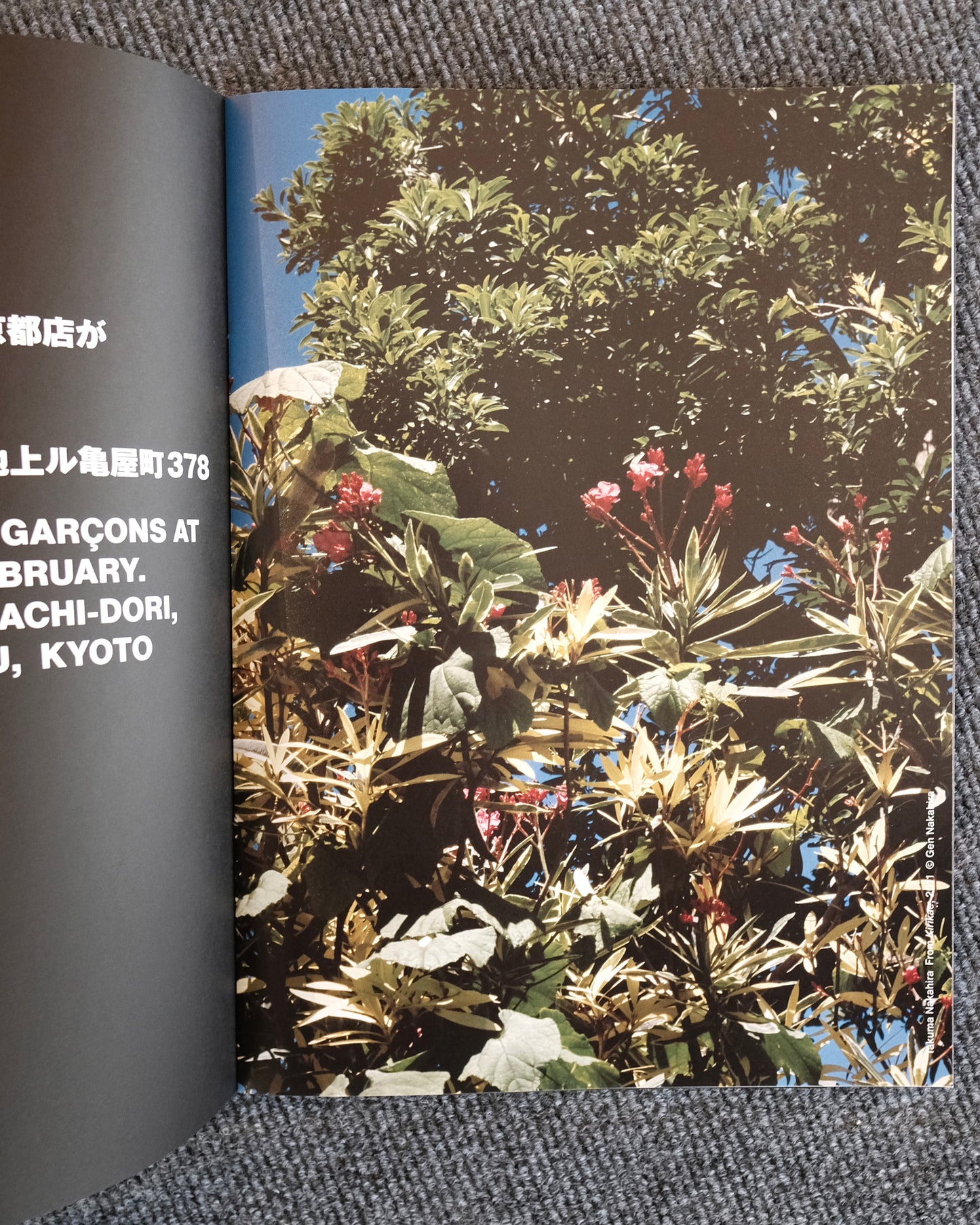 Comme des Garcons MAGAZINE COVER NUMBER Six