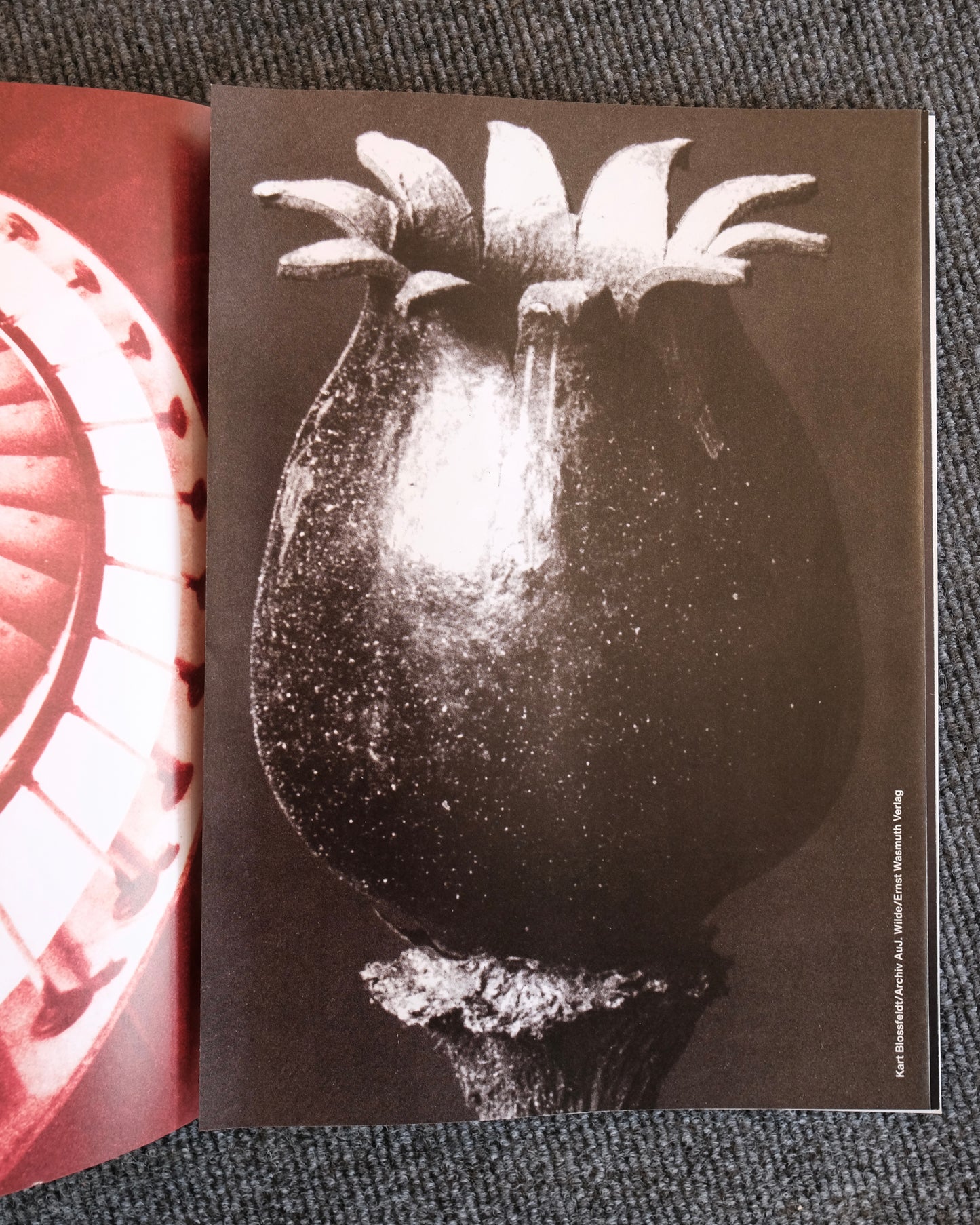 Comme des Garcons MAGAZINE COVER NUMBER Six